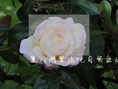 厦门湖里法院自贸区法庭