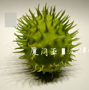 厦门王祎凡律师 厦门王祎凡律师