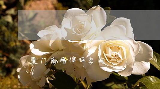 厦门离婚律师咨询 厦门离婚律师咨询