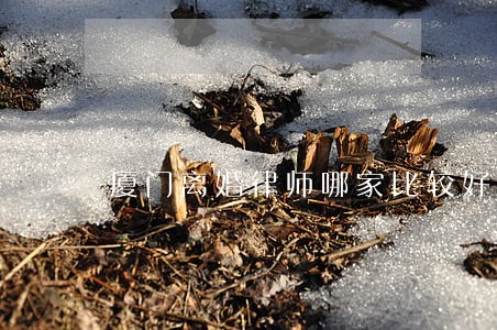 厦门离婚律师哪家比较好