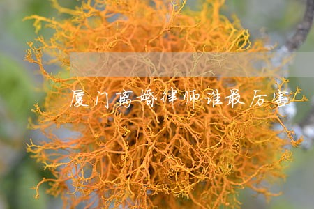 厦门离婚律师谁最厉害 厦门离婚律师谁最厉害