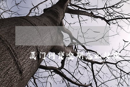 厦门网贷逾期怎么处理 厦门网贷逾期怎么处理