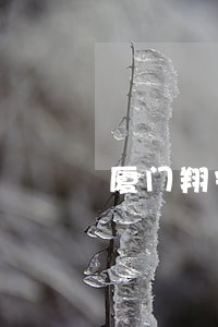 厦门翔安法院执行 厦门翔安法院执行