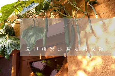 厦门翔安法院老赖视频 厦门翔安法院老赖视频