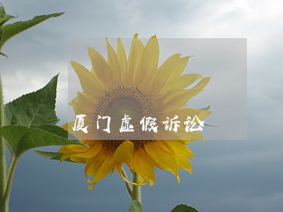 厦门虚假诉讼 厦门虚假诉讼