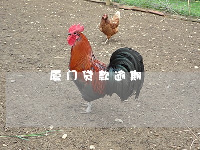 厦门贷款逾期 厦门贷款逾期