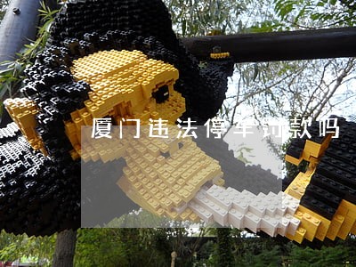 厦门违法停车罚款吗