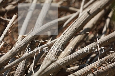 厦门银行信用卡逾期了三天 厦门银行信用卡逾期了三天