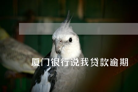 厦门银行说我贷款逾期 厦门银行说我贷款逾期