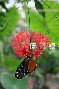 厦门银行贷款逾期