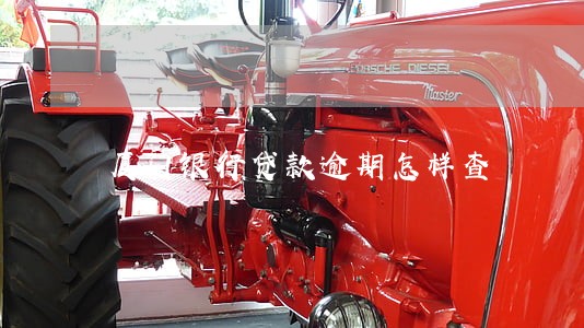 厦门银行贷款逾期怎样查 厦门银行贷款逾期怎样查