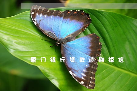 厦门银行贷款逾期短信 厦门银行贷款逾期短信