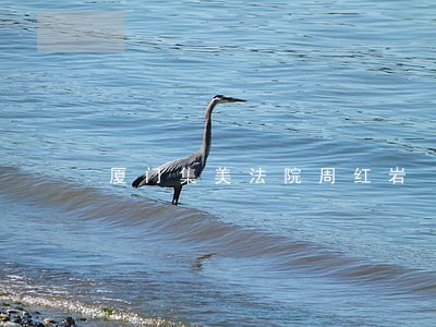 厦门集美法院周红岩