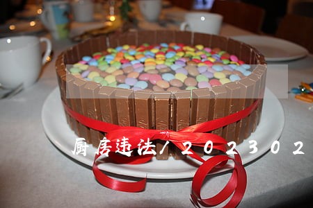 厨房违法/2023020812206 厨房违法/2023020812206