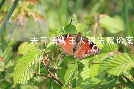 去三角线王大根法院讼案件 去三角线王大根法院讼案件