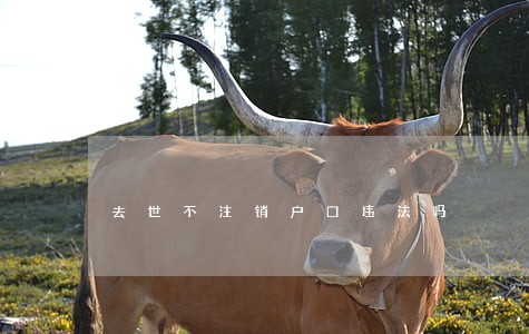 去世不注销户口违法吗