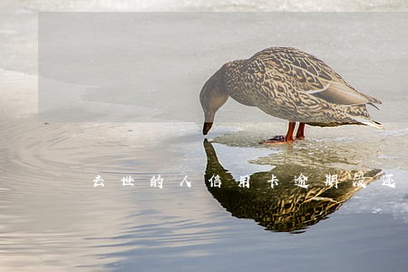 去世的人信用卡逾期没还怎么办 去世的人信用卡逾期没还怎么办