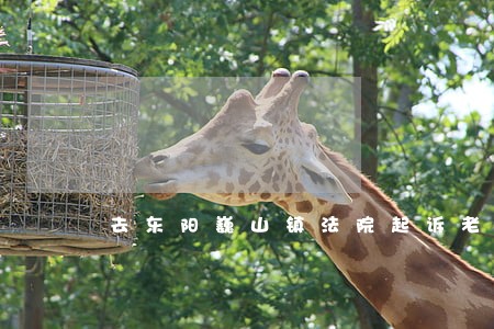 去东阳巍山镇法院起诉老赖 去东阳巍山镇法院起诉老赖