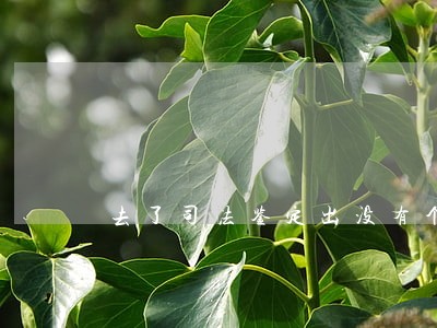 去了司法鉴定出没有个人司法鉴定 去了司法鉴定出没有个人司法鉴定