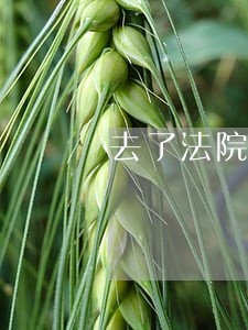 去了法院我不离可以吗 去了法院我不离可以吗