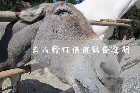去人行打信用报告逾期