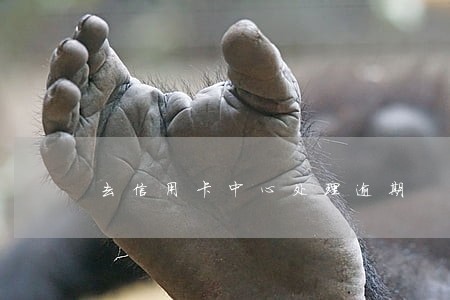去信用卡中心处理逾期 去信用卡中心处理逾期