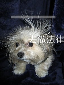 去做法律鉴定需要多少钱 去做法律鉴定需要多少钱