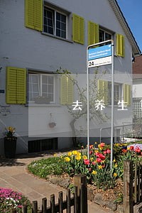 去养生算违法吗 去养生算违法吗