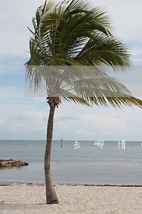 去哪借小鹅贷已逾期500天 去哪借小鹅贷已逾期500天