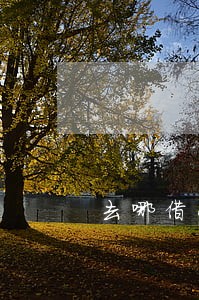 去哪借小鹅贷逾期2年又开始催收 去哪借小鹅贷逾期2年又开始催收