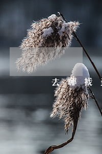 去哪找劳动合同法 去哪找劳动合同法