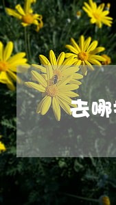 去哪找知识产权侵权律师收费标准 去哪找知识产权侵权律师收费标准
