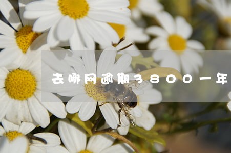 去哪网逾期3800一年多 去哪网逾期3800一年多