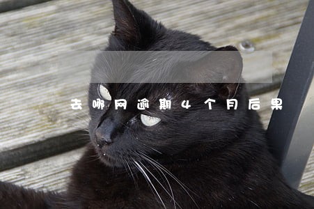 去哪网逾期4个月后果 去哪网逾期4个月后果
