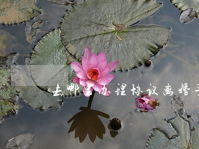 去哪里办理协议离婚手续 去哪里办理协议离婚手续
