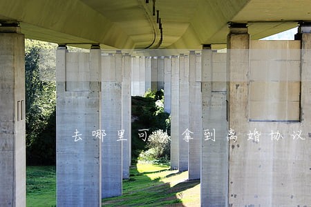 去哪里可以拿到离婚协议 去哪里可以拿到离婚协议