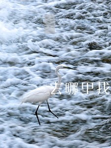 去哪里找婚姻律师团队 去哪里找婚姻律师团队