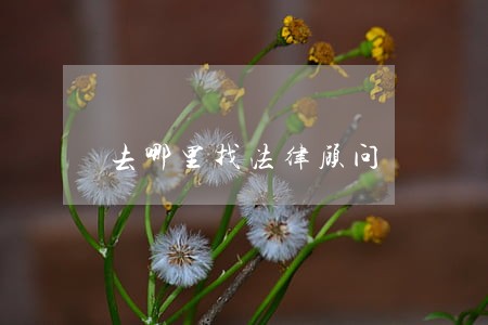 去哪里找法律顾问