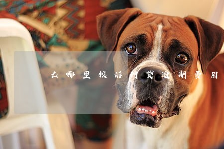 去哪里投诉网贷逾期费用高