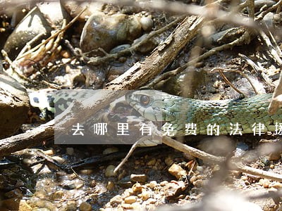 去哪里有免费的法律援助 去哪里有免费的法律援助