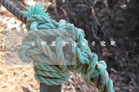 去哪里查信用卡逾期 去哪里查信用卡逾期