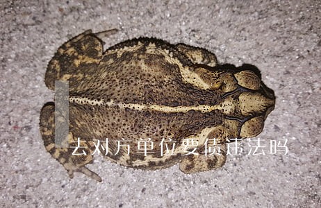 去对方单位要债违法吗 去对方单位要债违法吗