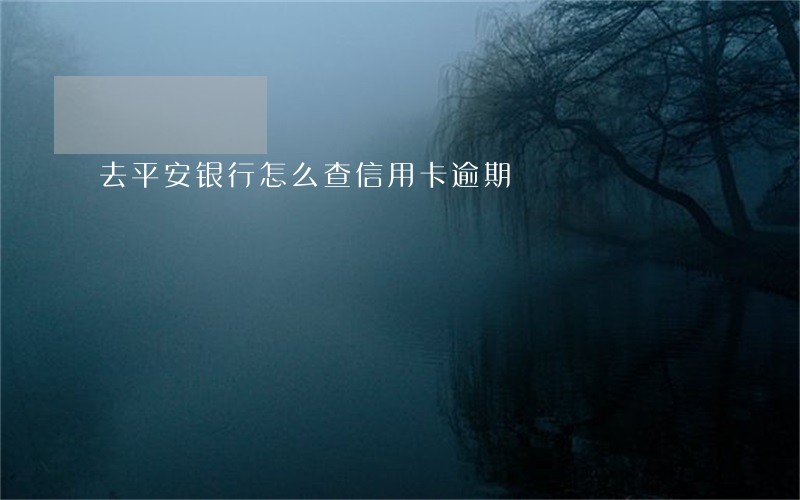 去平安银行怎么查信用卡逾期 去平安银行怎么查信用卡逾期