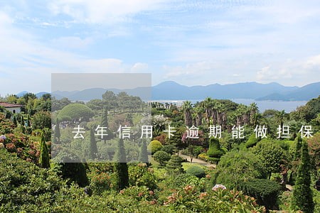 去年信用卡逾期能做担保吗 去年信用卡逾期能做担保吗