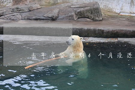 去年房贷逾期4个月没还 去年房贷逾期4个月没还