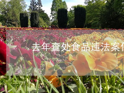 去年查处食品违法案件4773起 去年查处食品违法案件4773起
