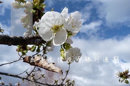 去年疫情投诉银行逾期 去年疫情投诉银行逾期