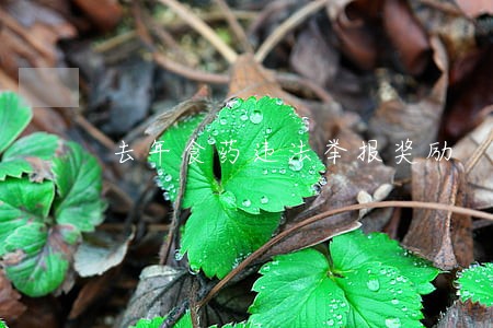 去年食药违法举报奖励 去年食药违法举报奖励