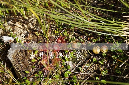 去开房违法不