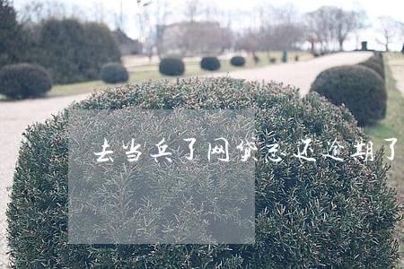 去当兵了网贷忘还逾期了怎么办 去当兵了网贷忘还逾期了怎么办
